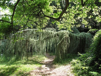 L’Arboretum des Barres