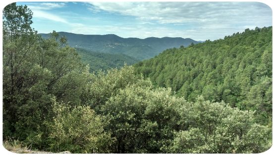 Les cévennes