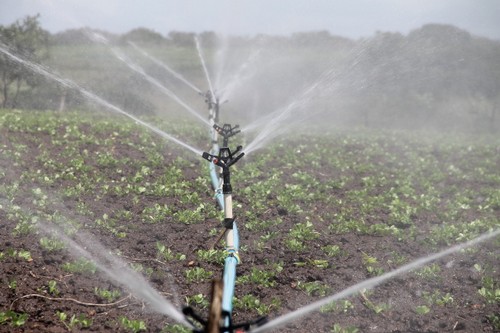 Irrigation agricole