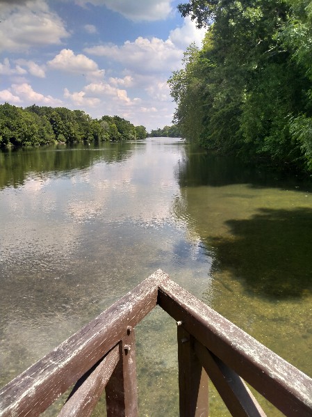 La rivière Loiret à Olivet
