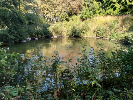 La source de la rivière Loiret (Le Bouillon) au Parc Floral d'Orléans-la-Source